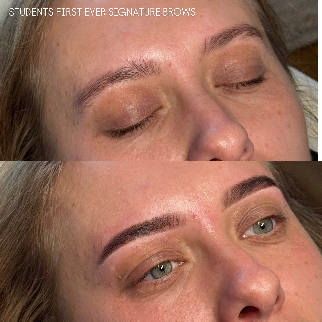 Signature Brow Course