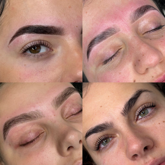 The Elite Training Course (Most Popular)